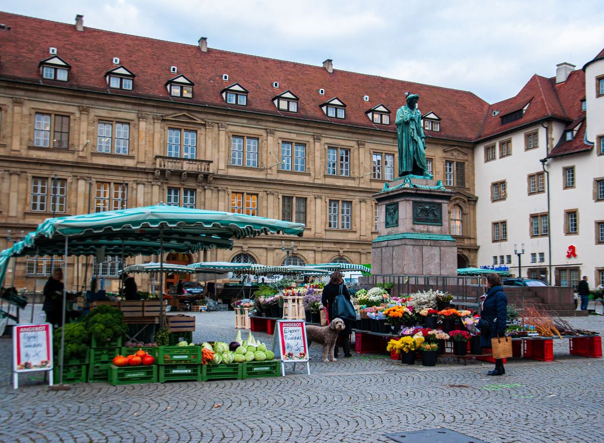 Wochenmarkt mit Gemüse- und Blumenständen auf einem Platz vor historischen Gebäuden.